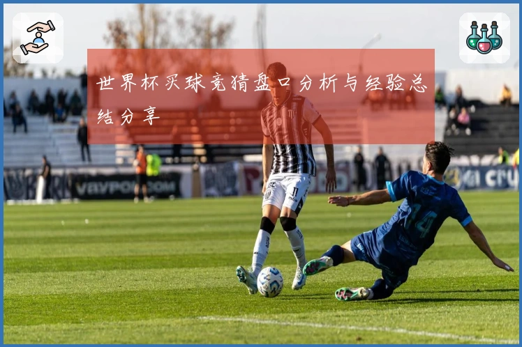 世界杯买球竞猜盘口分析与经验总结分享