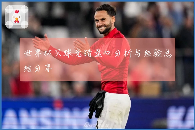 世界杯买球竞猜盘口分析与经验总结分享
