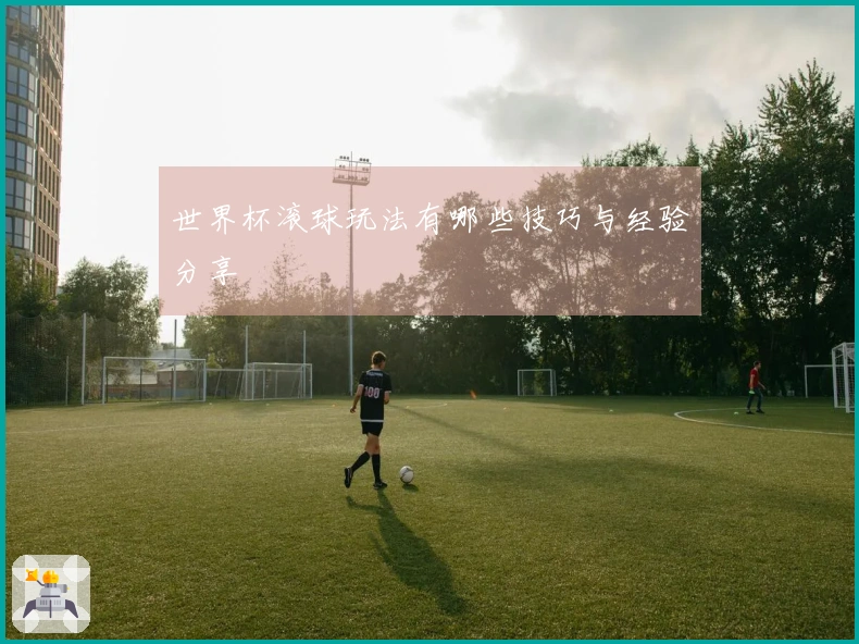 世界杯滚球玩法有哪些技巧与经验分享